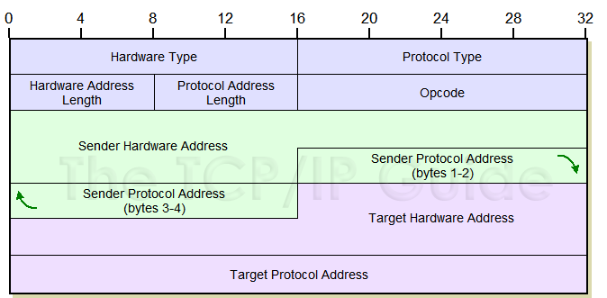 ARP Format