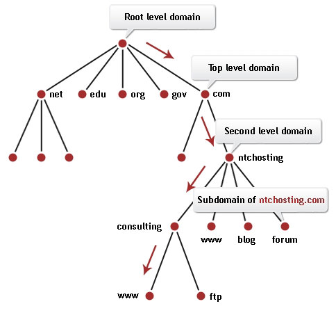 DNS Refreshing