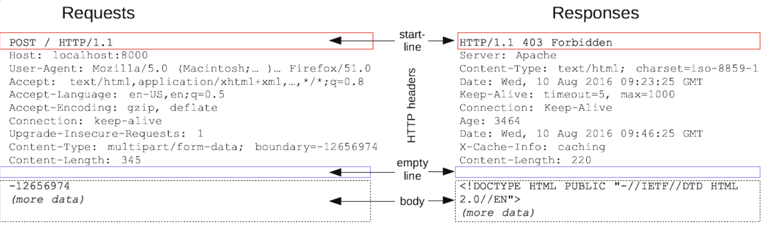 HTTP1 Message