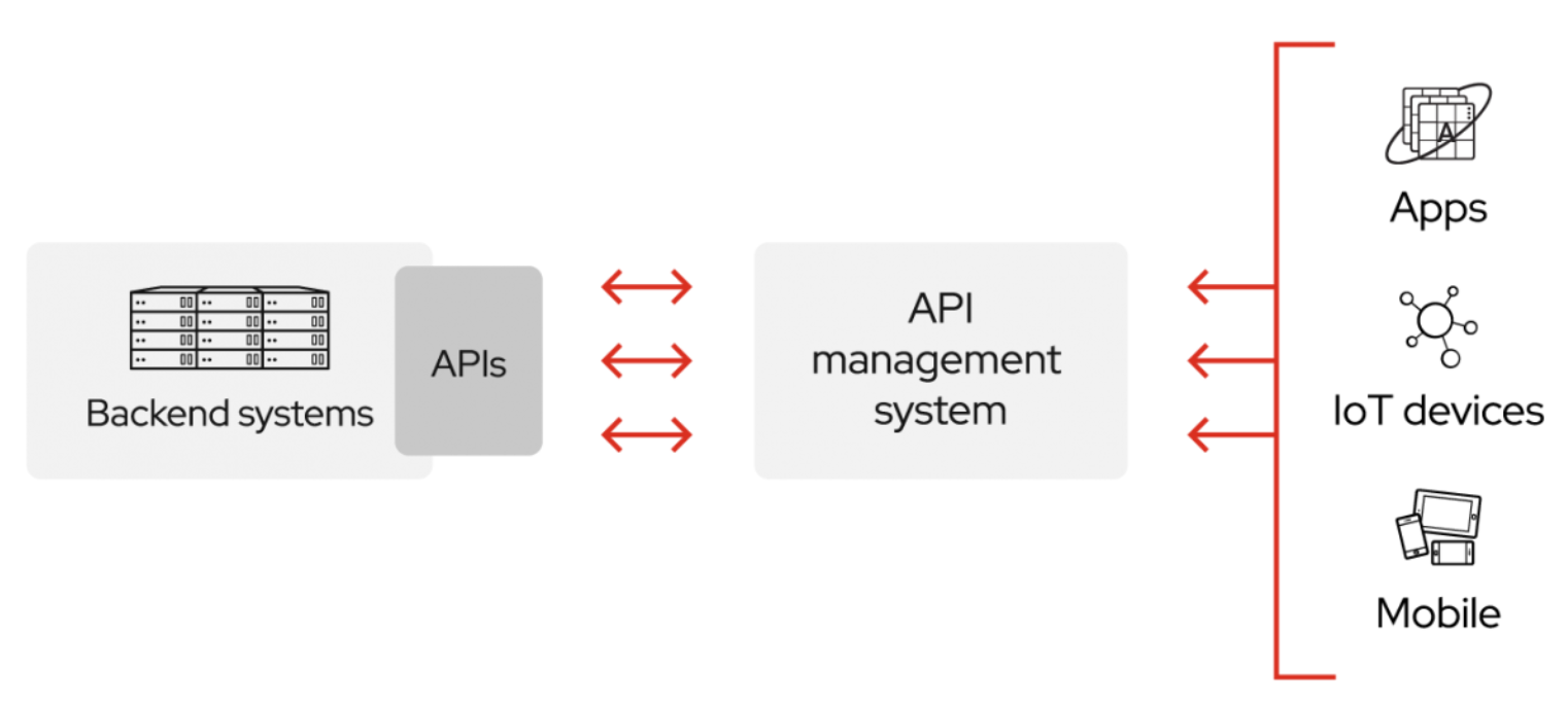 What is API